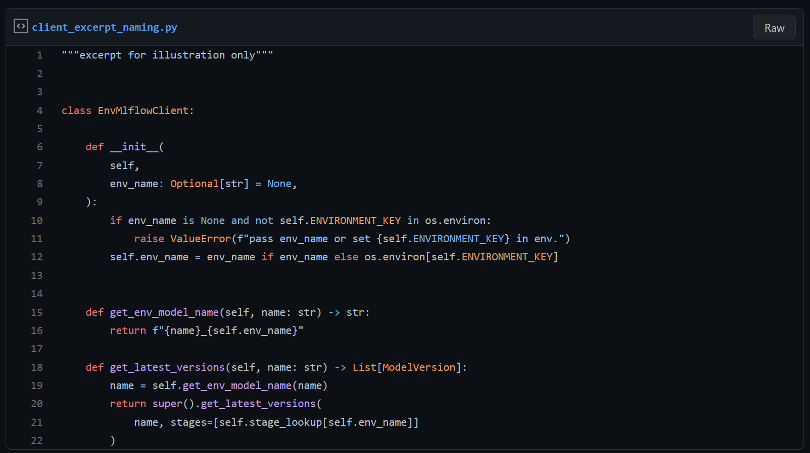 model_naming_excerpt